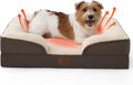 Self Warming Orthopedic Dog Bed Medium Size Dogs - Washable Medium Dog Bed Waterproof, Comfort Pet Couch with Removable Cover, Pets Sofa with Nonskid Bottom, Brown, Non-Electric