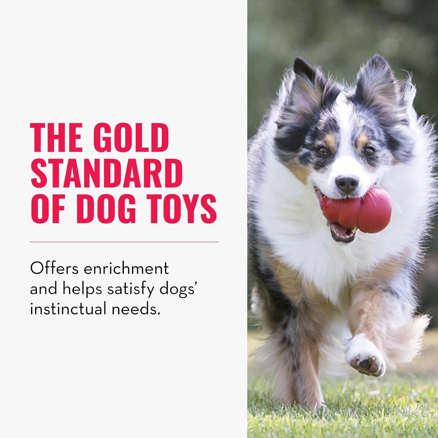 Classic Stuffable Dog Toy - Fetch & Chew Toy for Dogs - Treat-Filling Capabilities & Erratic Bounce for Extended Play Time - Durable Natural Rubber Material - for Large Dogs