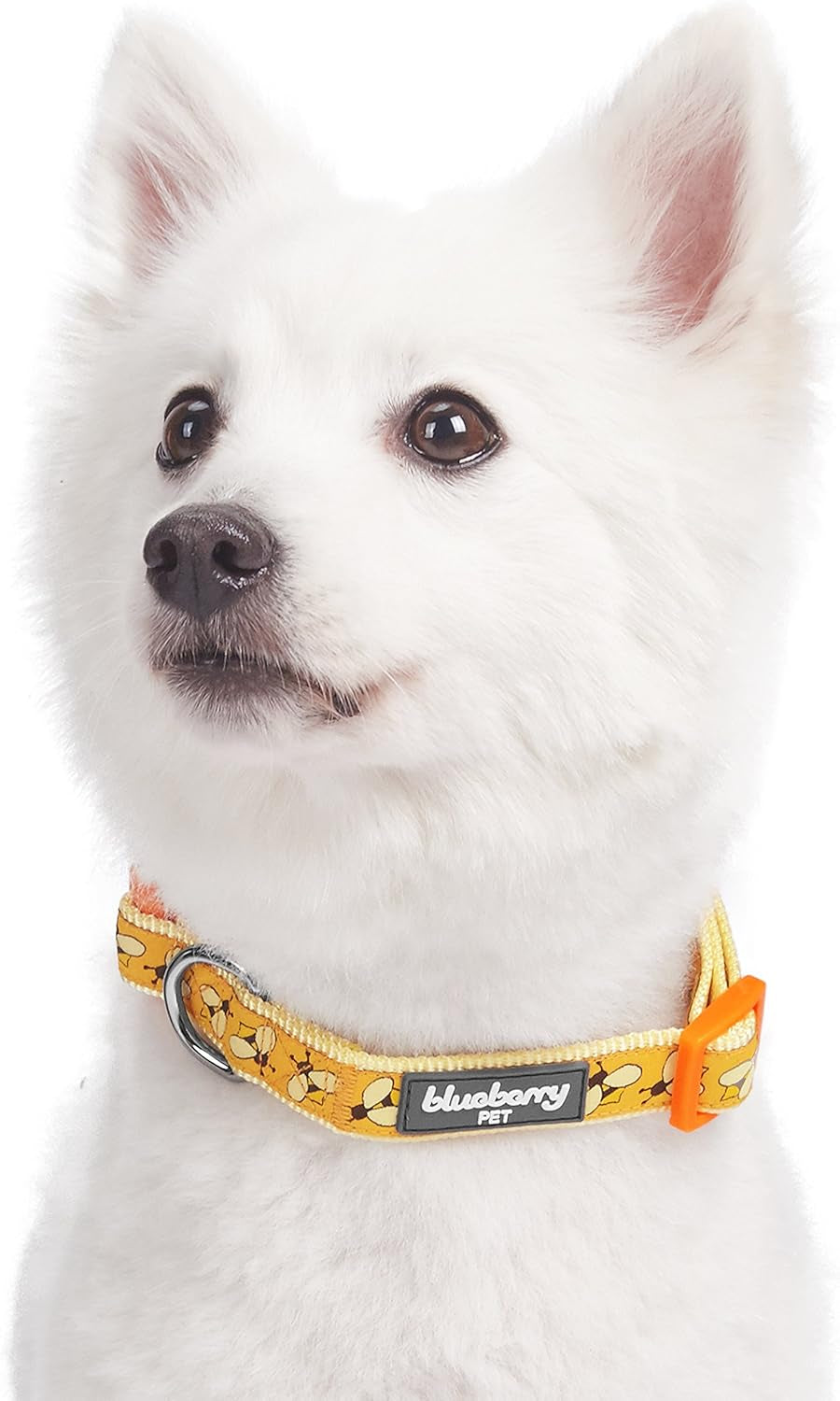 Essentials 10 Patterns Statement Busy Bees Designer Adjustable Dog Collar, Medium, Neck 14.5"-20"