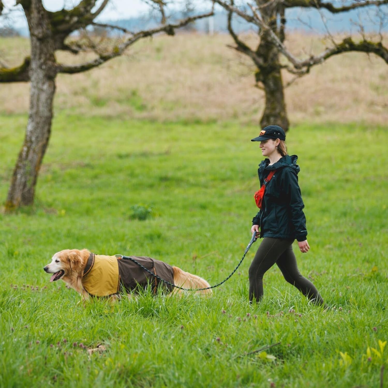 , Knot‑A‑Leash, Climbing‑Inspired Rope Leash, 5 Ft Reflective Rope, Secure Auto‑Locking Swivel Carabiner, Tubular Handle, Accessory Loop for Pick‑Up Bags, Obsidian Black, Small
