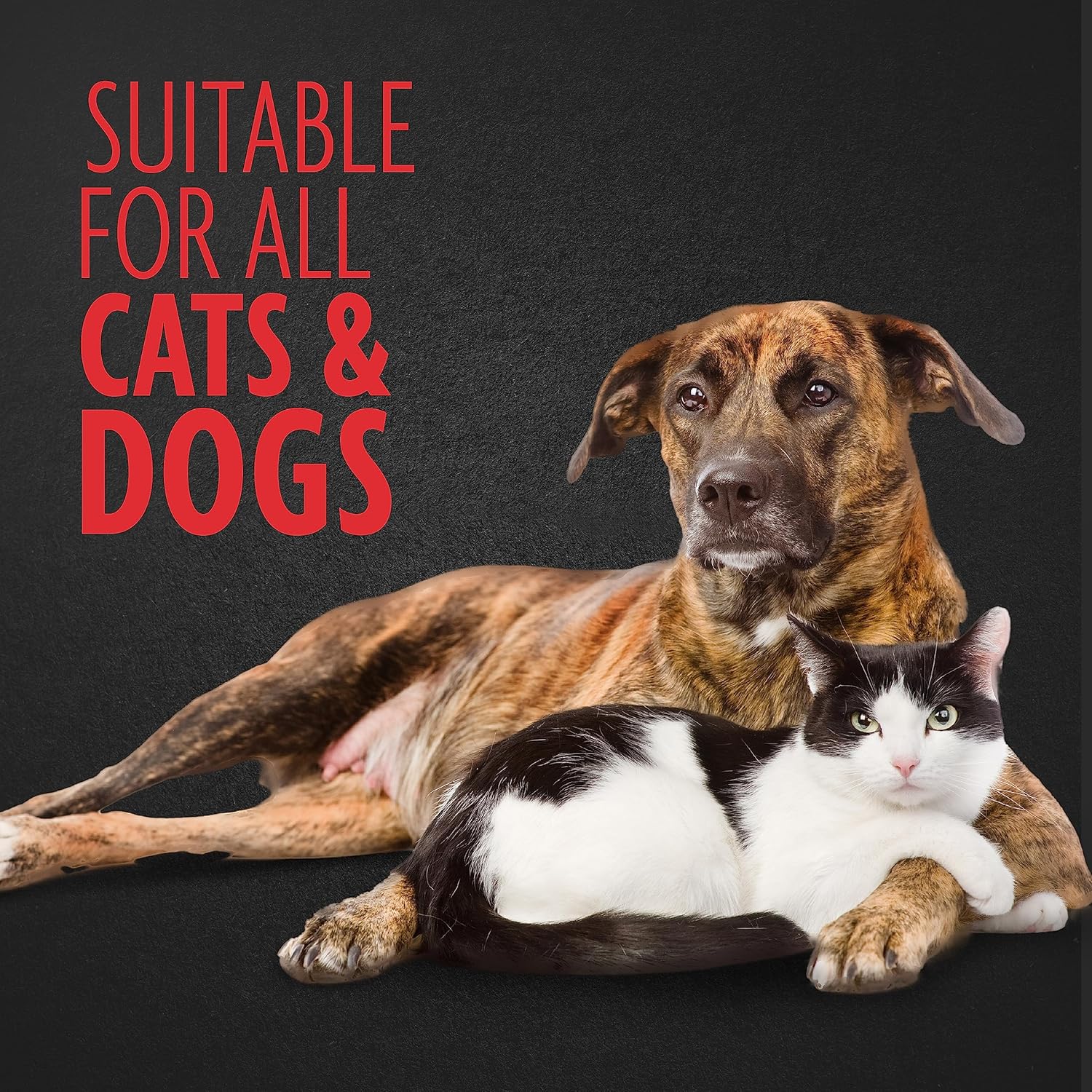 Hair Collection Brush Grey, Color May Vary