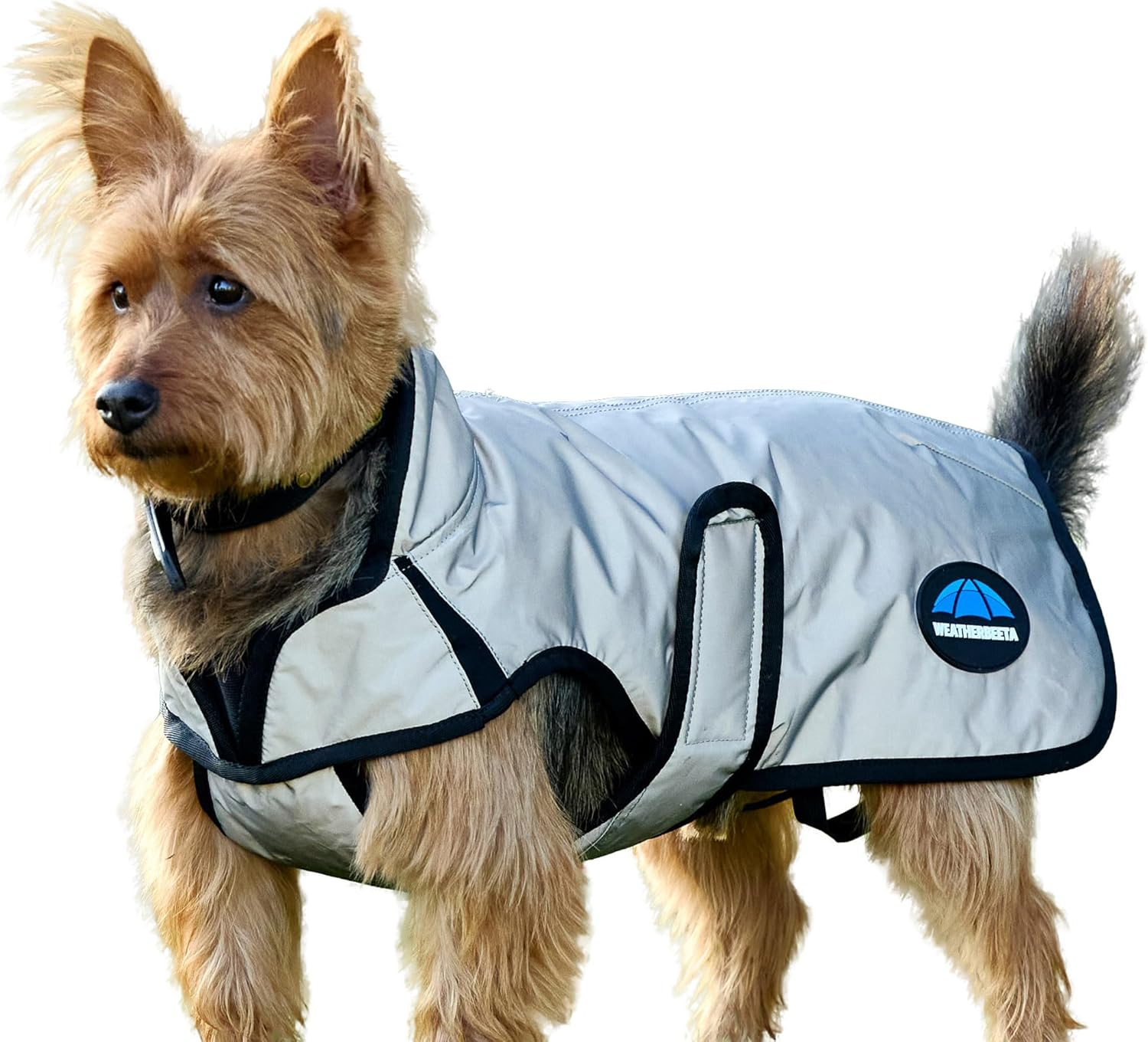 Comfitec Reflective Showerproof Dog Coat, Silver, 12"