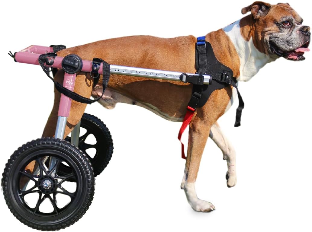 Dog Wheelchair - for Med/Large Dogs 50-69 Lbs - Veterinarian Approved - Dog Wheelchair for Back Legs