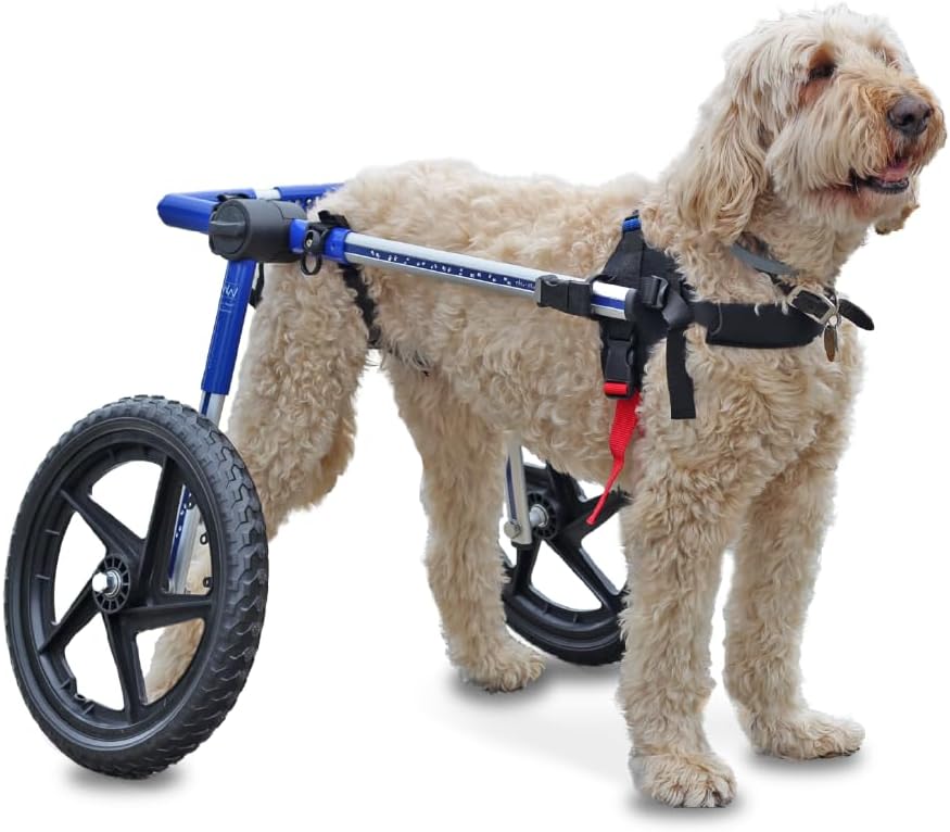 Dog Wheelchair - for Med/Large Dogs 50-69 Lbs - Veterinarian Approved - Dog Wheelchair for Back Legs