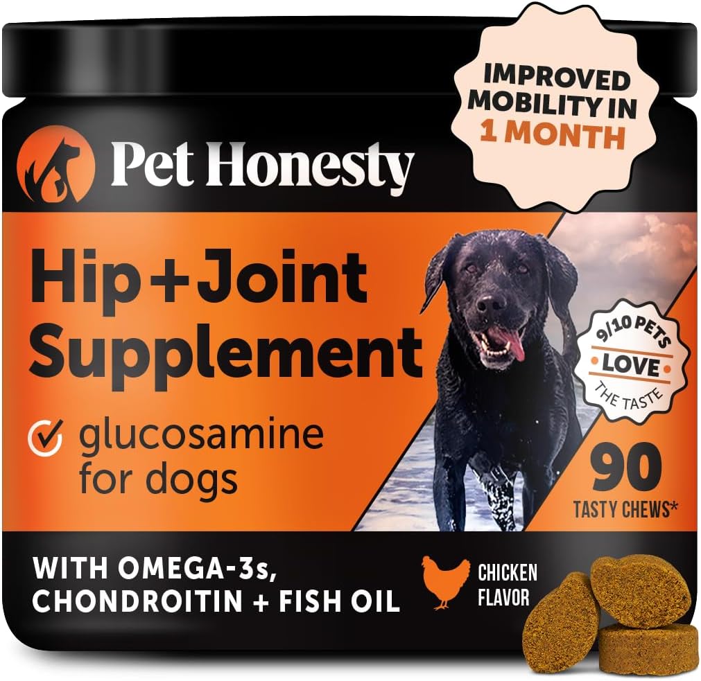 Hip & Joint Health - Soft Chews for Dogs, Joint Supplement with Glucosamine Chondroitin, MSM, Turmeric, Joint Support + Mobility, May Reduce Occasional Discomfort (Bacon 90 Count)