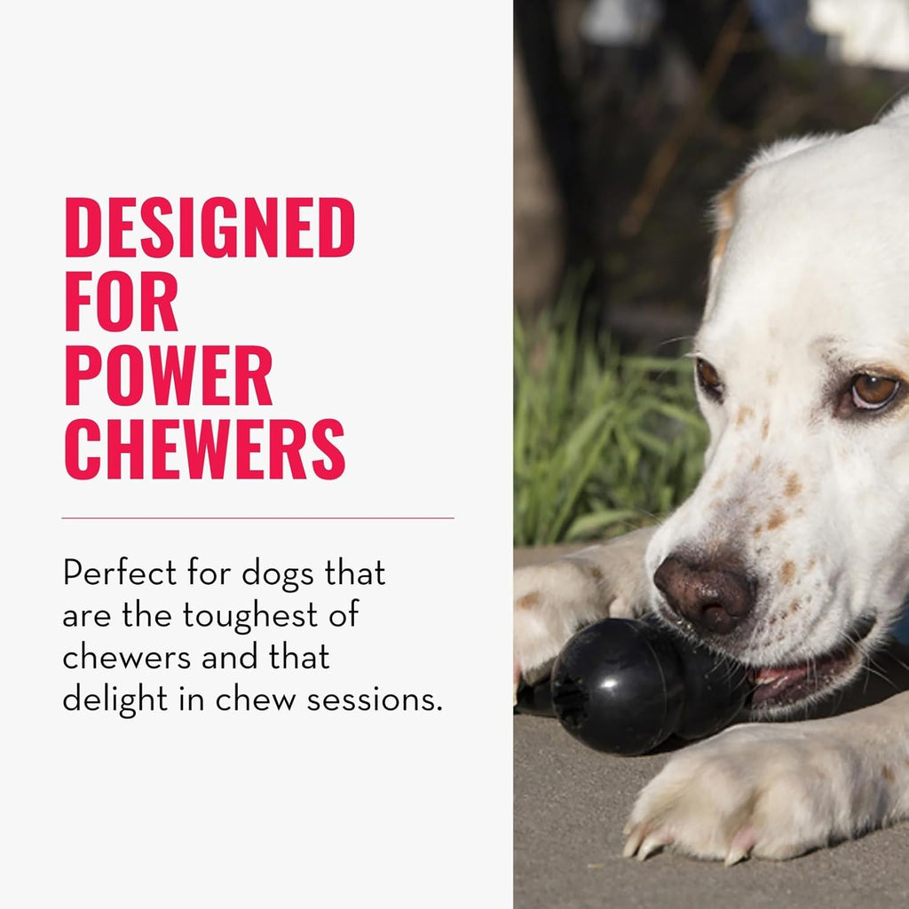 - Extreme Goodie Bone - 'S Most Durable Natural Rubber Dog Bone for Power Chewers - Black - for Large Dogs