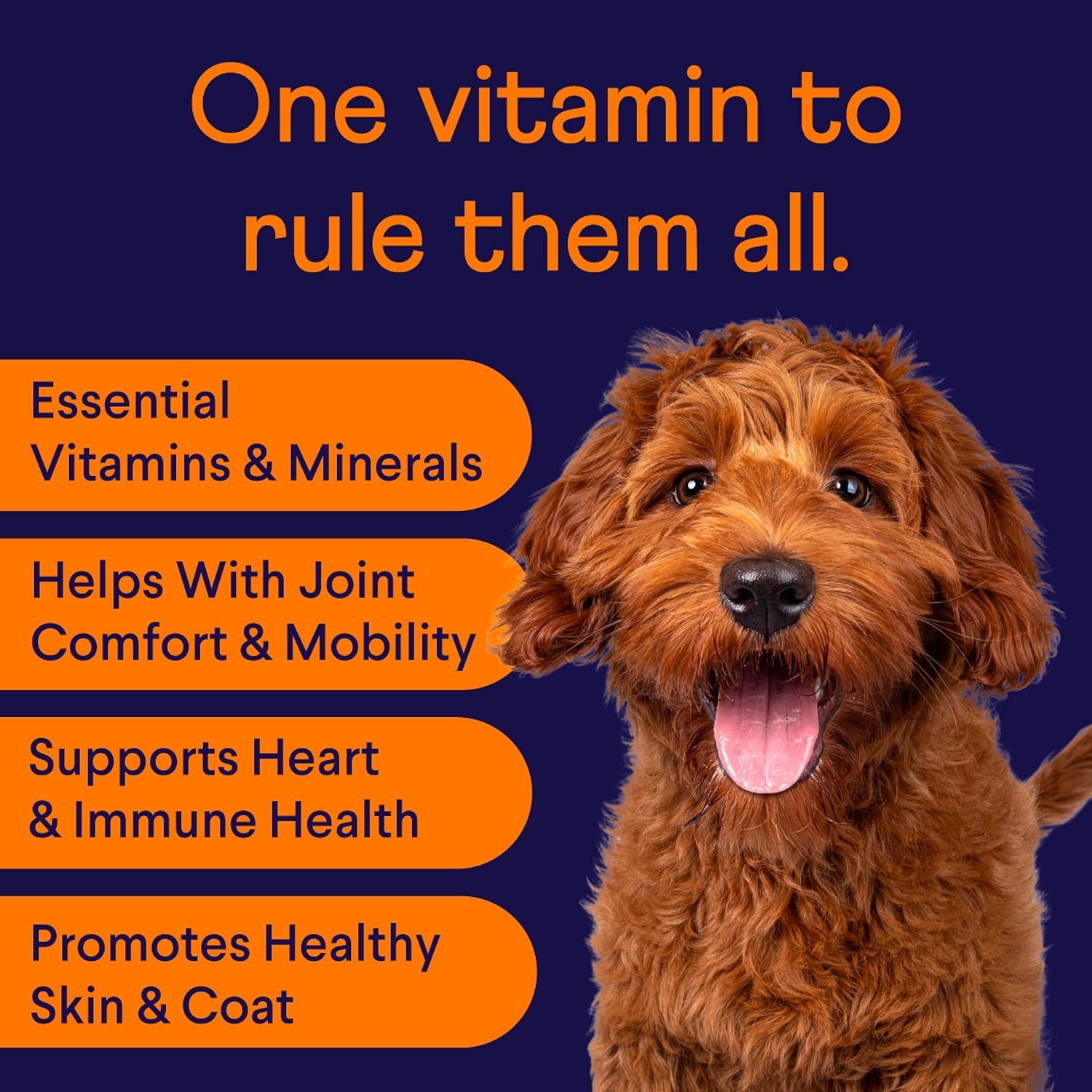 All-In-1 Multivitamin for Dogs - Daily Multi with Probiotics, Omegas & Nutrients to Support Everyday Wellness - 90 Soft Chews
