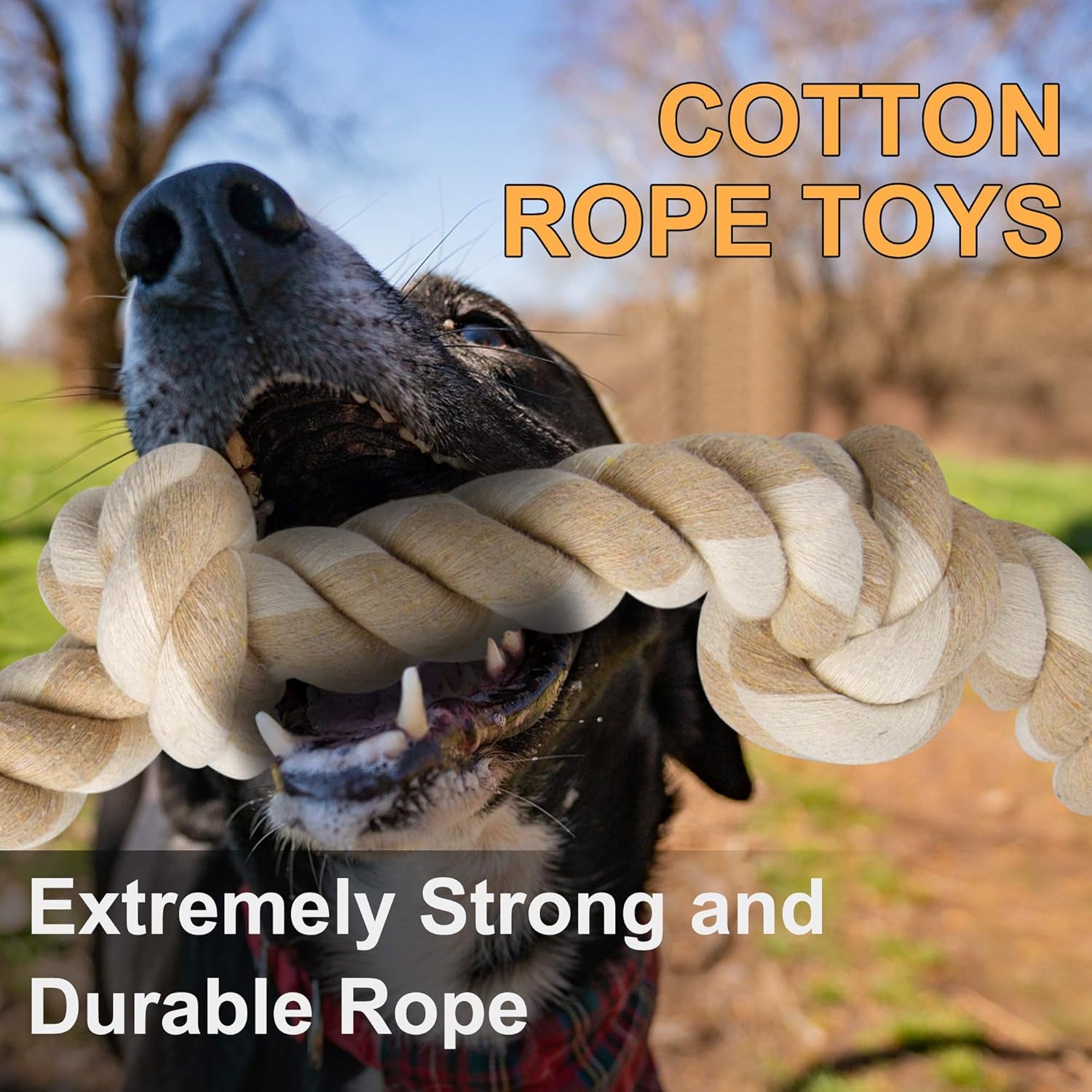Dog Rope Toys for Large/Medium Aggressive Chewers, Tough Cotton Chew Toy, 3 Feet 5 Knots Indestructible, Tug of War Dog Pull Rope Teeth Cleaning