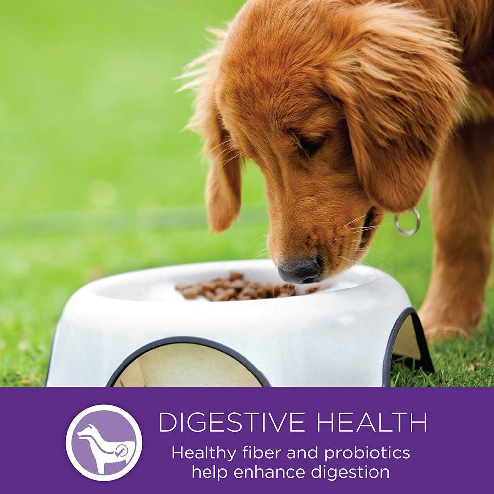 Natural Pet Food Complete Health Natural Dry Large Breed Puppy Food, Chicken, Salmon & Rice, 30-Pound Bag