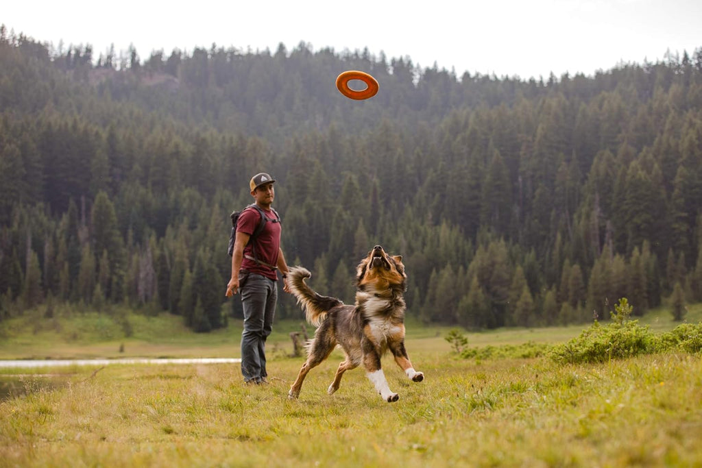 , Hydro Plane Floating Disc for Dogs, Campfire Orange, Medium