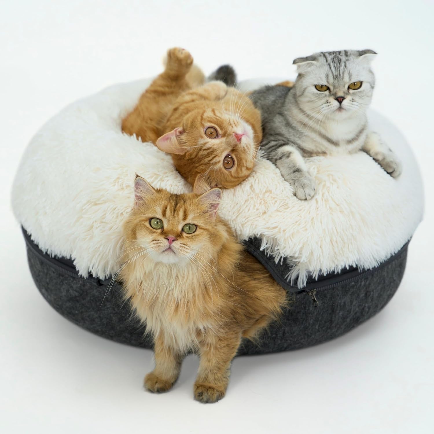 Peekaboo Cat Cave for Multiple & Large Cats up to 30-45 Lbs, Fluffy Cat Beds for Indoor Cats, Scratch Detachable & Washable Tunnel Bed, Comfy Donut Cave (Dark Gray, Large (Calming))