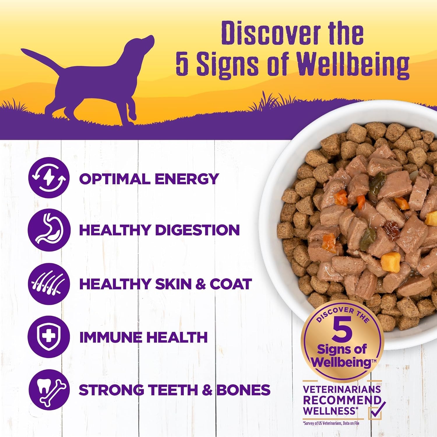 Complete Health Thick & Chunky Natural Grain Free Canned Wet Dog Food, Turkey & Duck Stew, 12.5-Ounce Can (Pack of 12)