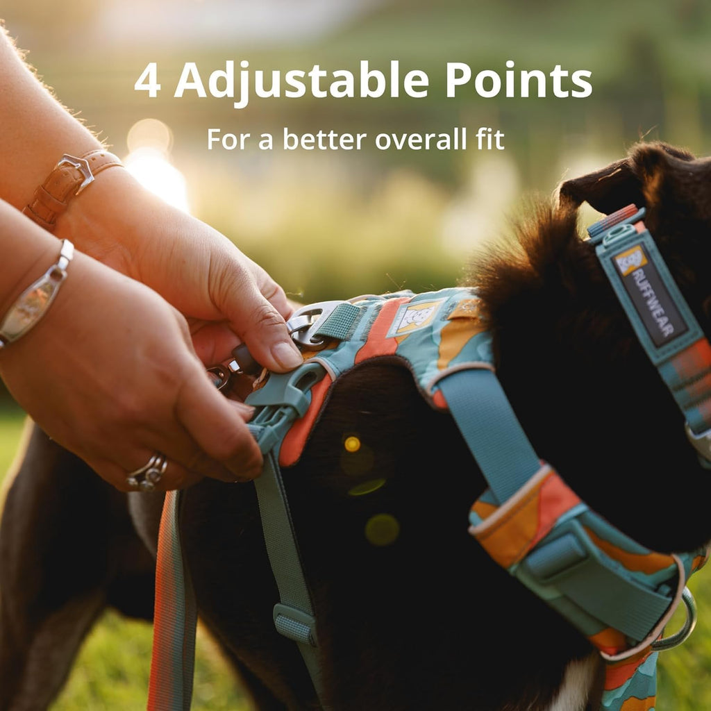 , Front Range Dog Harness, Reflective Soft Padded Everyday Harness with Dual Leash Clips, Adjustable and Lightweight Fit for Training or Walking for All Dogs, Spring Mountains, Large/X-Large