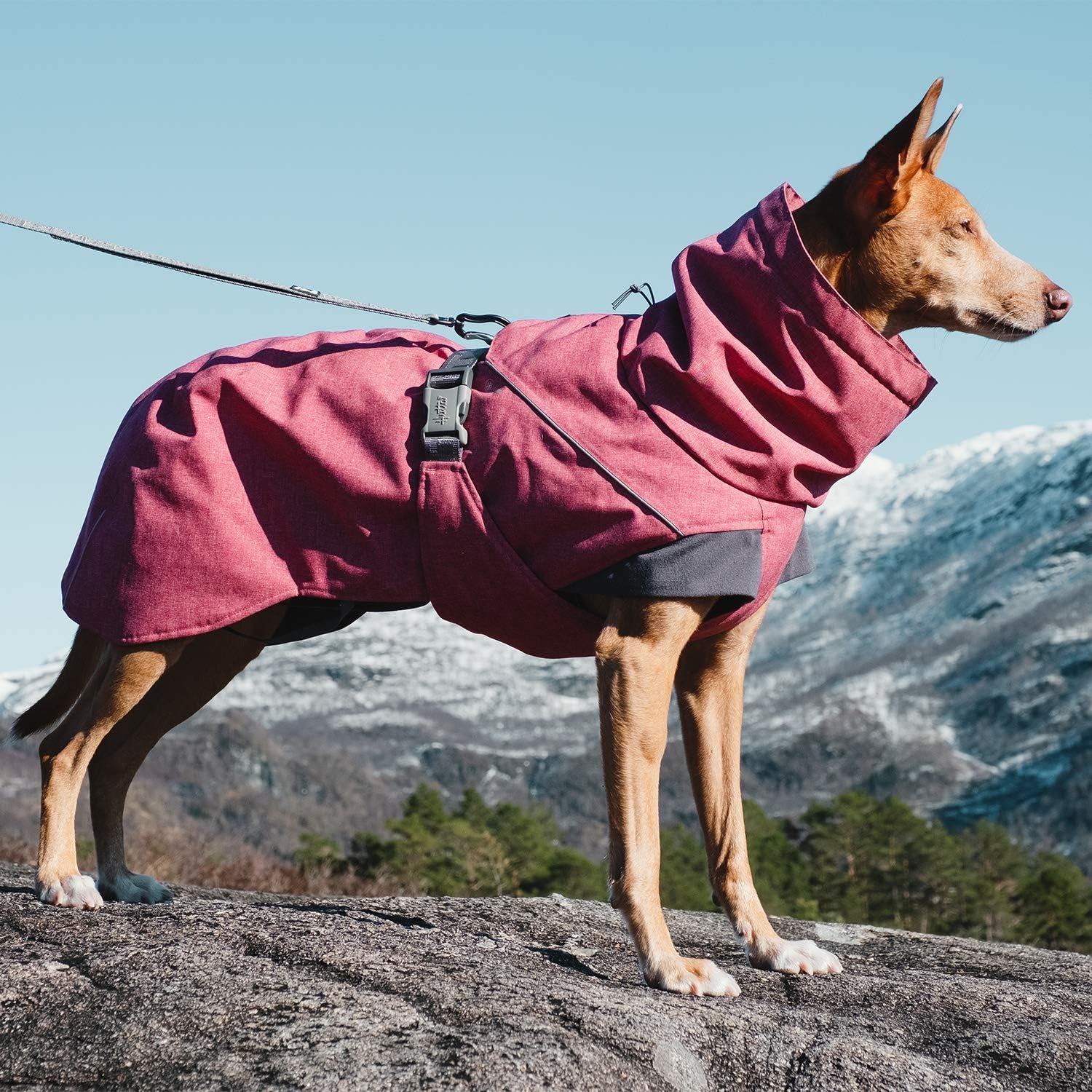 Expedition Parka, Winter Dog Coat, Beetroot, 18 In