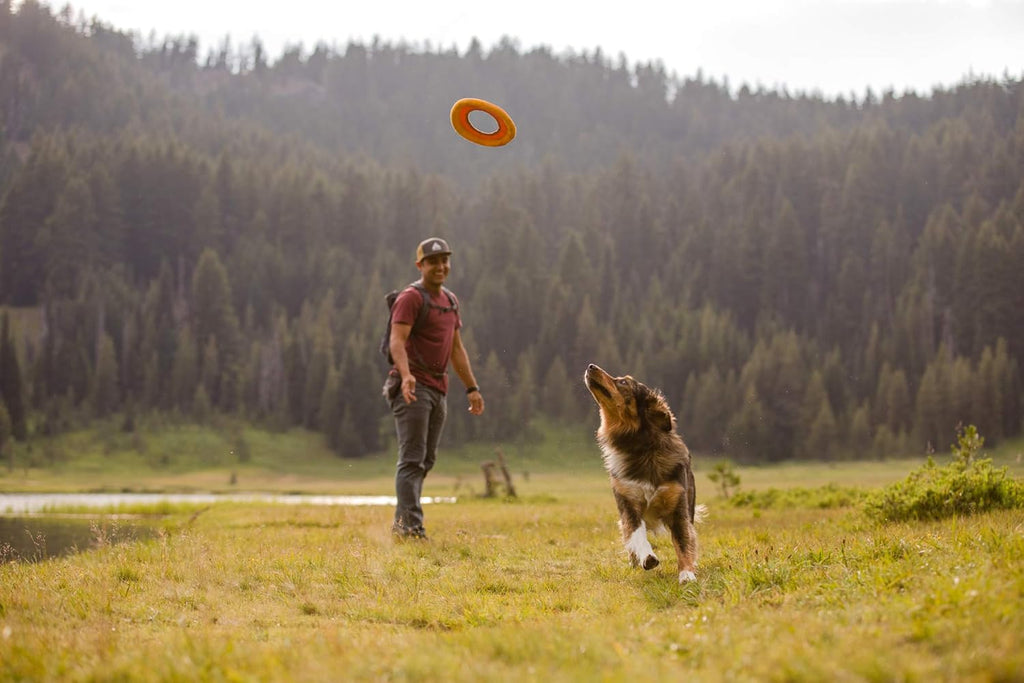 , Hydro Plane Floating Disc for Dogs, Campfire Orange, Medium