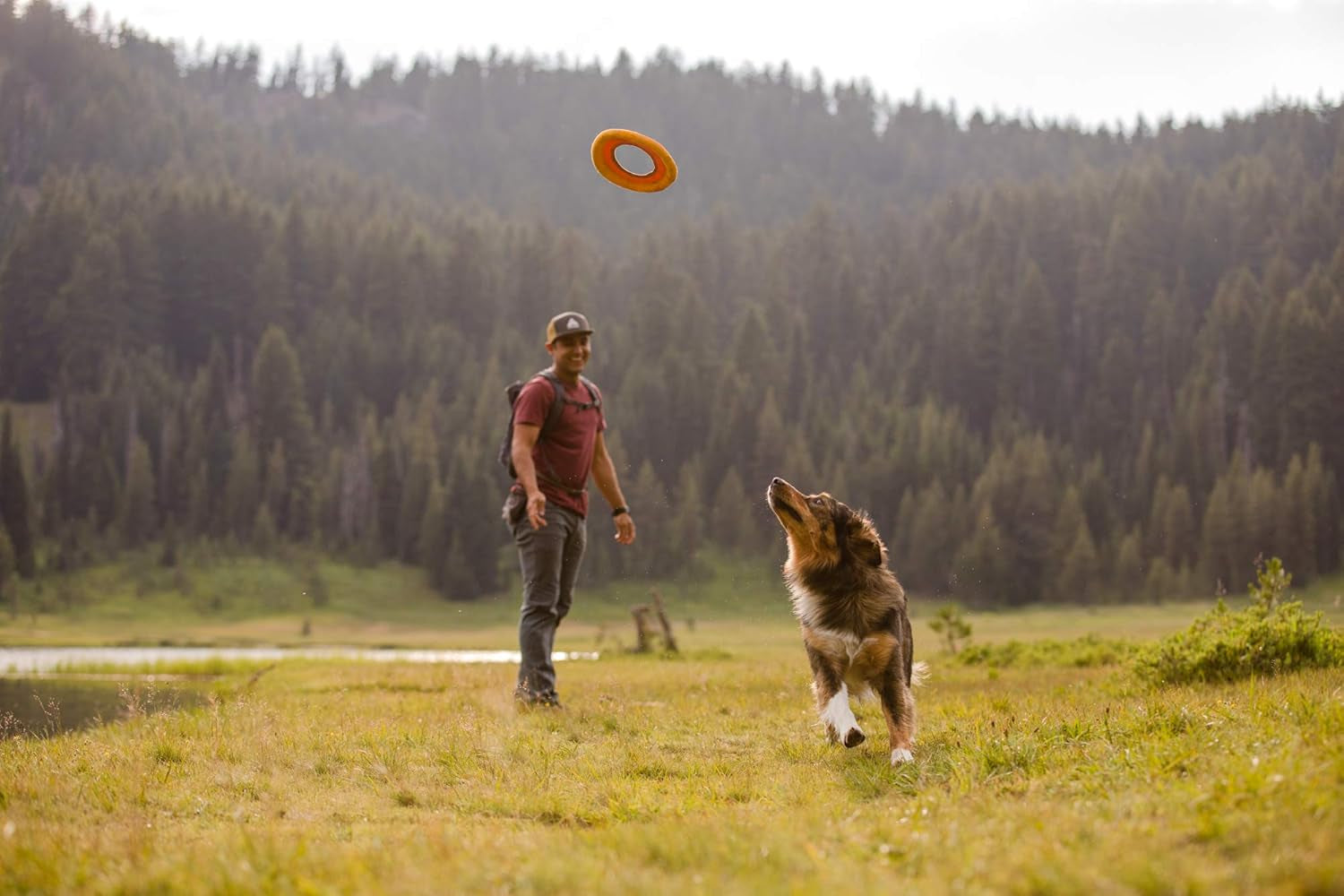 , Hydro Plane Floating Disc for Dogs, Campfire Orange, Medium