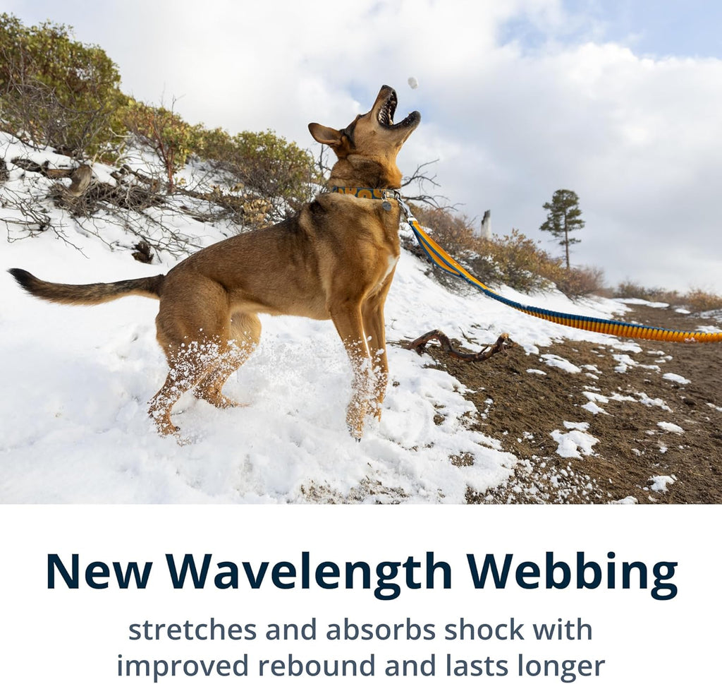 , Roamer Bungee Dog Leash for Running, Biking or Hiking, Can Be Used Hand-Held or Hands-Free, River Rock Green, 7.3'-11'